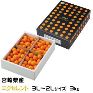 完熟きんかん たまたまエクセレント 1kg 2L-3Lサイズ 宮崎県産 贈答用