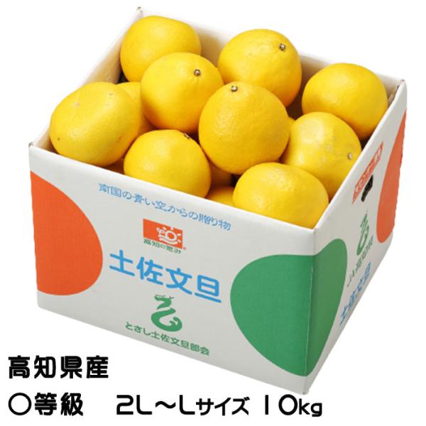 ぶんたん 土佐文旦 〇等級 2L〜L 10kg 高知県産 JA高知県 ブンタン とさぶんたん トサブ...