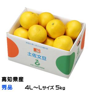 ぶんたん 土佐文旦 秀品 4L〜L 5kg 高知県産 JA高知県 ブンタン とさぶんたん トサブンタン｜はちやフルーツ