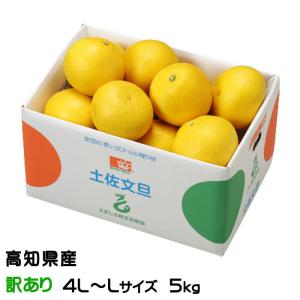 ぶんたん 土佐文旦 風のいたずら 訳あり 4L〜L 5kg 高知県産 ブンタン とさぶんたん トサブンタン｜はちやフルーツ