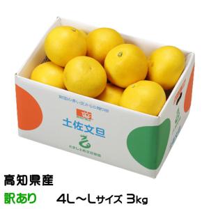 ぶんたん 土佐文旦 風のいたずら 訳あり 4L〜L 3kg 高知県産 ブンタン とさぶんたん トサブンタン