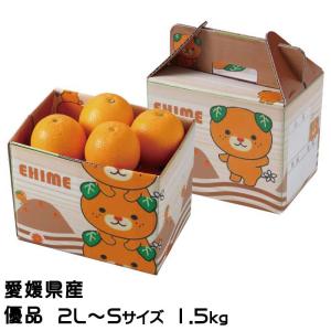 みかん タロッコオレンジ ブラッドオレンジ 優品 2L〜Sサイズ 1.5kg みきゃん箱入り 愛媛県  ミカン 蜜柑｜hachiya-fruits