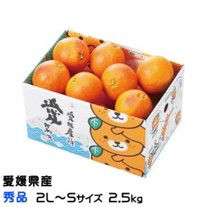 みかん タロッコオレンジ ブラッドオレンジ 秀品 2L〜Sサイズ 2.5kg みきゃん箱入り 愛媛県  ミカン 蜜柑｜hachiya-fruits