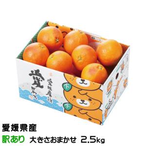 ブラッドオレンジ モロ 3kg 自宅用 愛媛県宇和島産 大きさ おまかせ