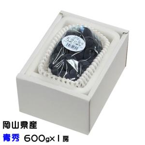 ぶどう 天空の実り 青秀 600g×1房 びほく ニューピオーネ 葡萄 ブドウ