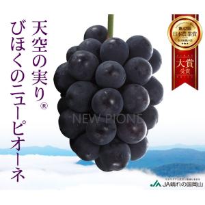 ぶどう 天空の実り 青秀 600g×1房 びほ...の詳細画像1