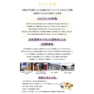 ぶどう 天空の実り 優品 3〜5房 1.5kg...の詳細画像3