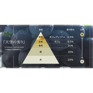ぶどう 天空の実り 優品 3〜5房 1.5kg...の詳細画像4