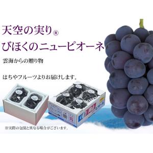 ぶどう 天空の実り 優品 3〜5房 1.5kg...の詳細画像5