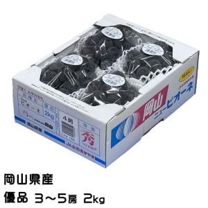 ぶどう 天空の実り 優品 3〜5房 2kg びほく ニューピオーネ 葡萄 ブドウ