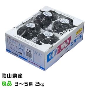 ぶどう 天空の実り 良品 3〜5房 2kg びほく ニューピオーネ 葡萄 ブドウ