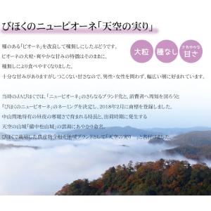 ぶどう 天空の実り 良品 3〜5房 2kg び...の詳細画像2