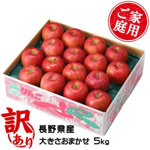 りんご 信州高山さわやかりんご 風のいたずら ち...の商品画像