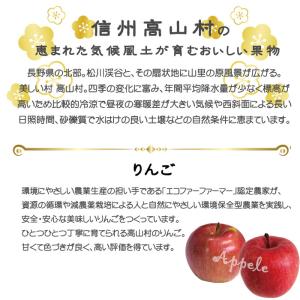 りんご 信州高山さわやかりんご 風のいたずら ...の詳細画像5