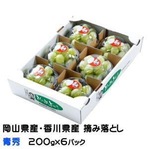 お中元 ぶどう 桃太郎ぶどう 摘み落とし 青秀 200g×6パック 岡山県産 香川県産 葡萄 ブドウ ギフト お取り寄せ