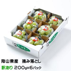 JURURI ぶどう菓子 複数パック 楽天市場】ヨーグルトン乳業 こだわり葡萄 200ml紙パック×16本入