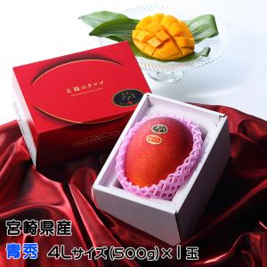 タイ産 ゴールデンマンゴー 約4.5kg 大玉10個/12個入り（ナムドクマイ