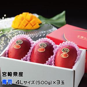 宮崎県産　宮崎完熟マンゴー2玉入り　4L　赤秀　クール便発送 宮崎県産 宮崎完熟マンゴー2玉入り 4L 赤秀 クール便発送 【公式通販】