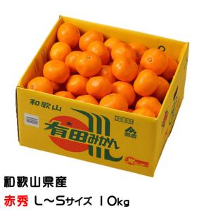 みかん 有田みかん 赤秀 L〜Sサイズ 10kg 和歌山県産 JAありだ ミカン 蜜柑 ギフト