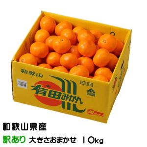 みかん 小玉（3S〜Sサイズ）10kg（箱込約10kg）和歌山県産 訳あり・ご