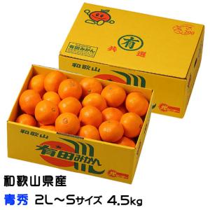 南柑20号（なんかん20号） 温州 みかん 愛媛県産 規格外 訳あり ご家庭