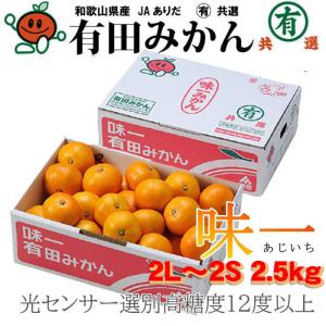 お歳暮 みかん プレミアム有田みかん 味一 2L〜2Sサイズ 2.5kg 糖度12度以上 和歌山県産 糖度12度以上 JAありだ ミカン 蜜柑 ギフト