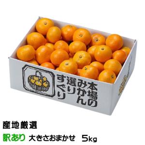 みかん 温州みかん 産地厳選 風のいたずら ちょっと訳あり 大きさおまかせ 5kg 蜜柑 ミカン ギフト お取り寄せ