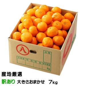みかん 温州みかん 産地厳選 風のいたずら ちょっと訳あり 大きさおまかせ 7kg 蜜柑 ミカン ギフト お取り寄せ