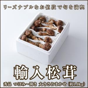 松茸 1kg 雲南省産 まつたけ きのこ 冷蔵便 送料無料 食品 : 食みらい