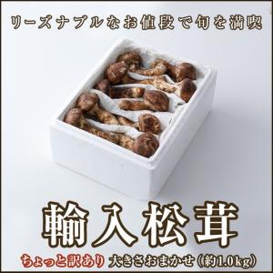 生松茸 訳あり 約500g＜開き方・大きさおまかせ＞空輸 中国産