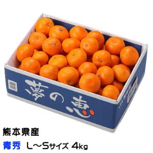 みかん 夢の恵 青秀 L〜Sサイズ 4kg プレミアムみかん 糖度12度以上 JA熊本市 夢未来 蜜柑 ミカン ギフト