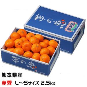 みかん 夢の恵 青秀 2L〜Sサイズ 2.5kg プレミアムみかん 糖度12度以上