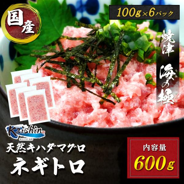 焼津　海の極 絶品 マグロのたたき 100g×6パック 600g 静岡県焼津市製造 海伸 本場の海鮮...