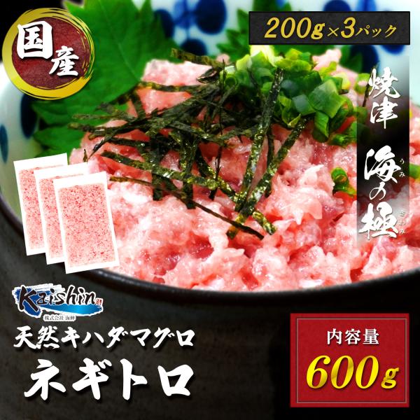 焼津　海の極 絶品 マグロのたたき 200g×3パック 600g 静岡県焼津市製造 海伸 本場の海鮮...