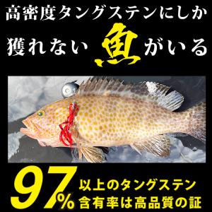 釣具 タイラバ タングステン ヘッド 100g...の詳細画像1