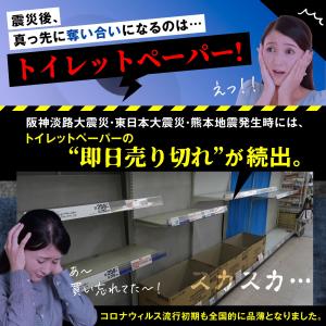 非常用トイレットペーパー トイレの女神 PRE...の詳細画像3