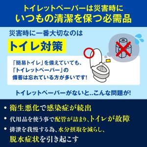 非常用トイレットペーパー トイレの女神 PRE...の詳細画像4