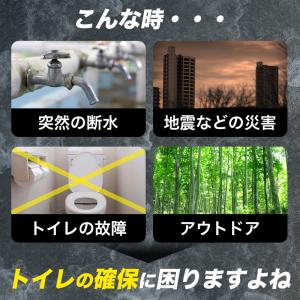 非常用トイレ 簡易トイレ 日本製 トイレの女神...の詳細画像5