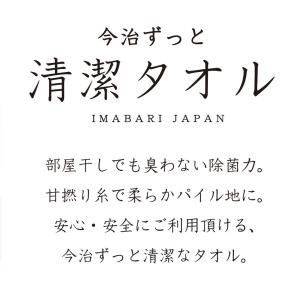 今治タオル 除菌 臭わない フェイスタオル 今...の詳細画像1
