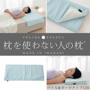 Phiten（ファイテン） 星のやすらぎ 療法士指圧ピロー ヒルズスリープ