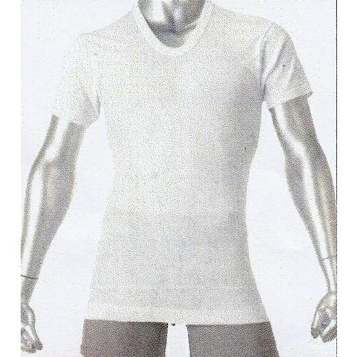 ＢＶＤ半袖Ｕ首　シャツ　Ｓ・Ｍ・Ｌシンプルで機能的、丈夫で長持ちするさらに着心地にこだわった　綿10...