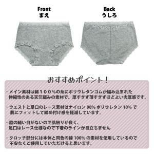 レディースショーツ スタンダード ストレッチ綿の詳細画像1