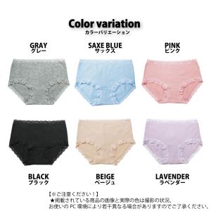 レディースショーツ スタンダード ストレッチ綿の詳細画像2
