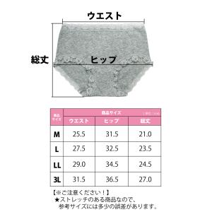 レディースショーツ スタンダード ストレッチ綿の詳細画像3