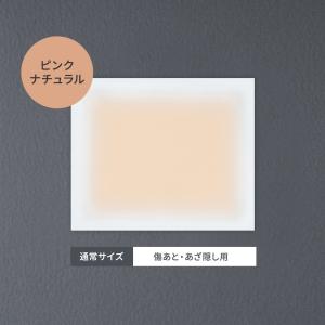 タトゥー隠し ファンデーション テープ タトゥ...の詳細画像3