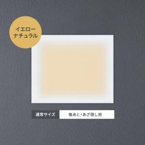 タトゥー隠し ファンデーション テープ タトゥ...の詳細画像4