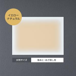 タトゥー隠し ファンデーション テープ タトゥ...の詳細画像4