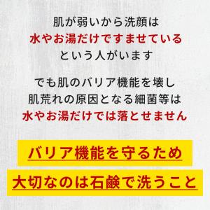 トライアルセット 固形石鹸 敏感肌用 国産 炭...の詳細画像3