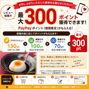 [ジーマーミ豆腐専門メーカー] 琉球じーまーみ...の詳細画像2