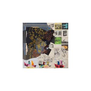 ANIMAL COLLECTIVE / TIME SKIFFS (LTD / CLEAR RUBY ...